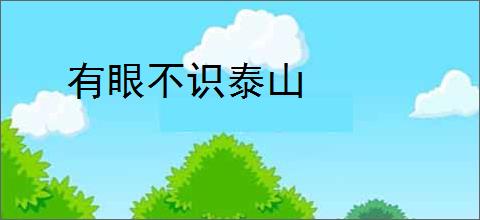 有眼不识泰山
